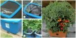 diy4ever-DIY Self Watering Containers Step by Step Tutorial
