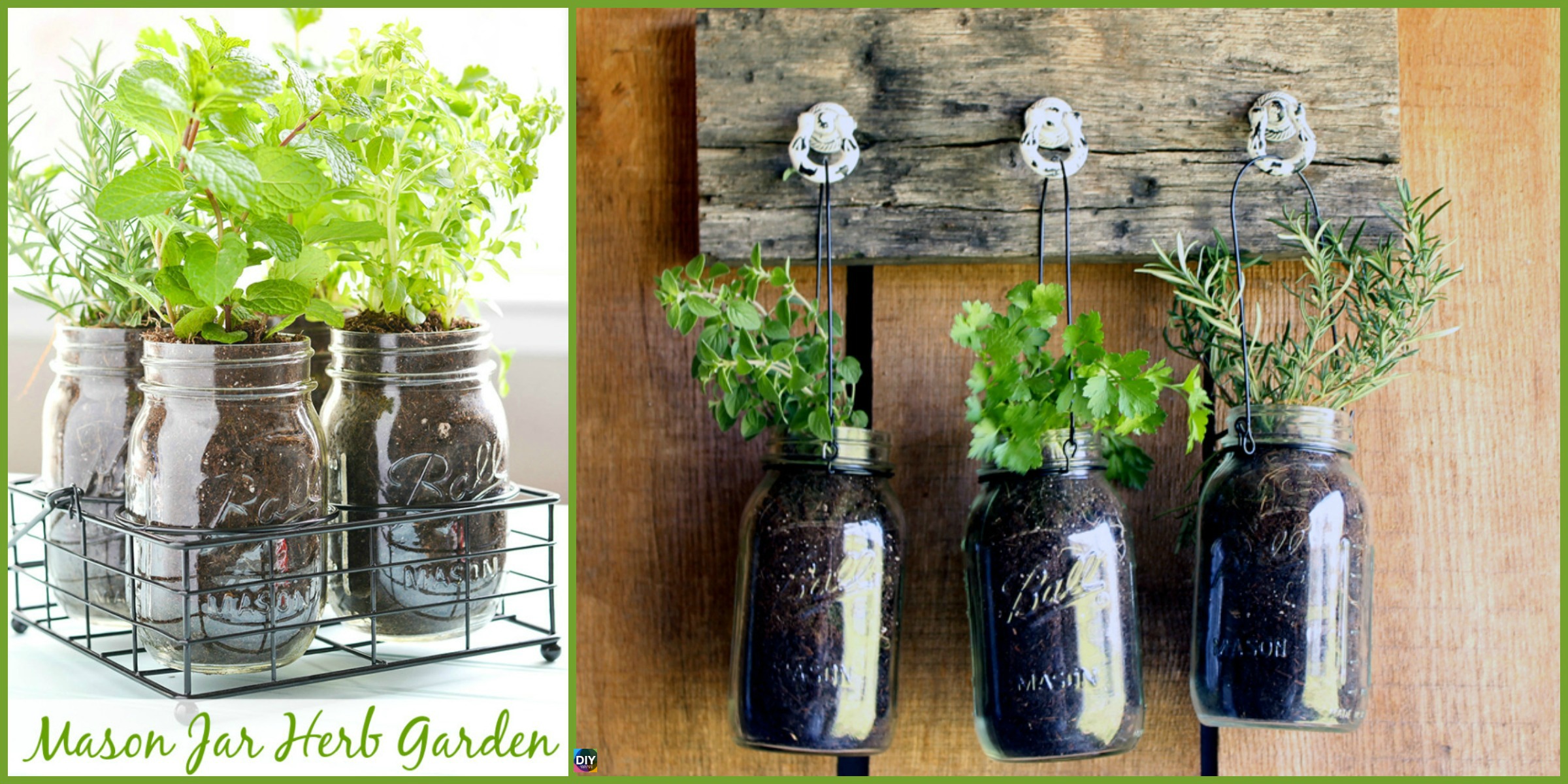 Mason Jar DIY Herb Garden Tutorial