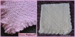 diy4ever- Crochet Fantail Baby Blanket - Free Pattern