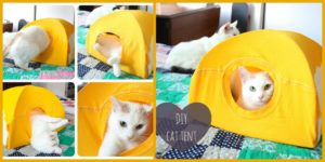 Easy & Cozy DIY Cat Tent - Step by Step Tutorial