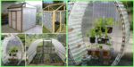 diy4ever-Recycled DIY Plastic Bottle Greenhouse