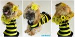 diy4ever-Bumble Bee Crochet Dog Sweater - Free Pattern
