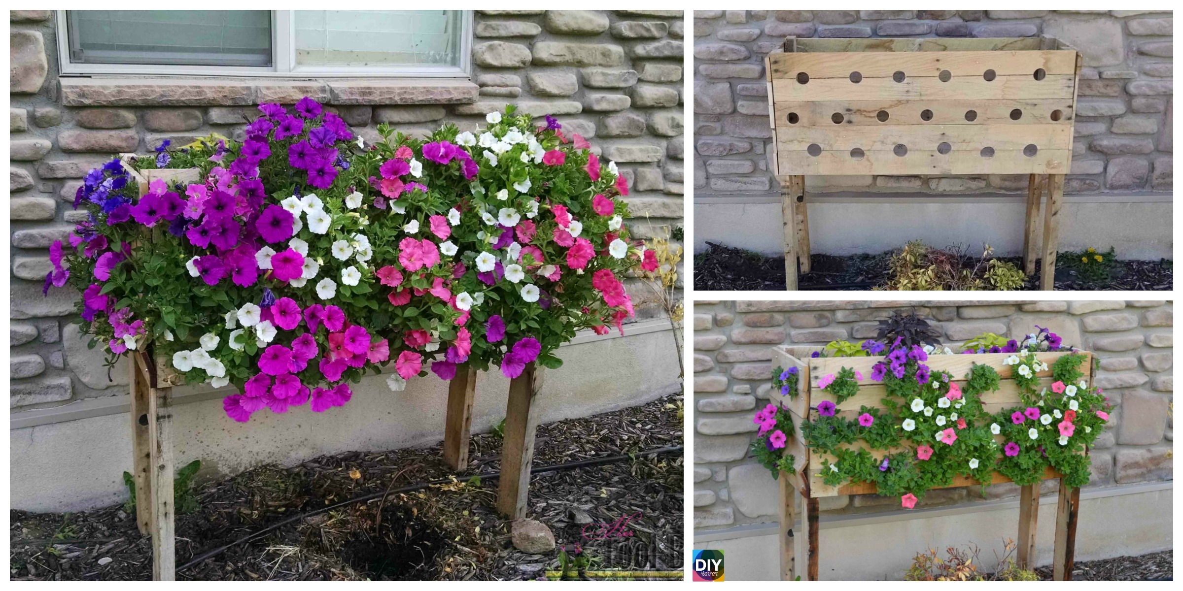 DIY Pallet Planter Box For Cascading Flowers