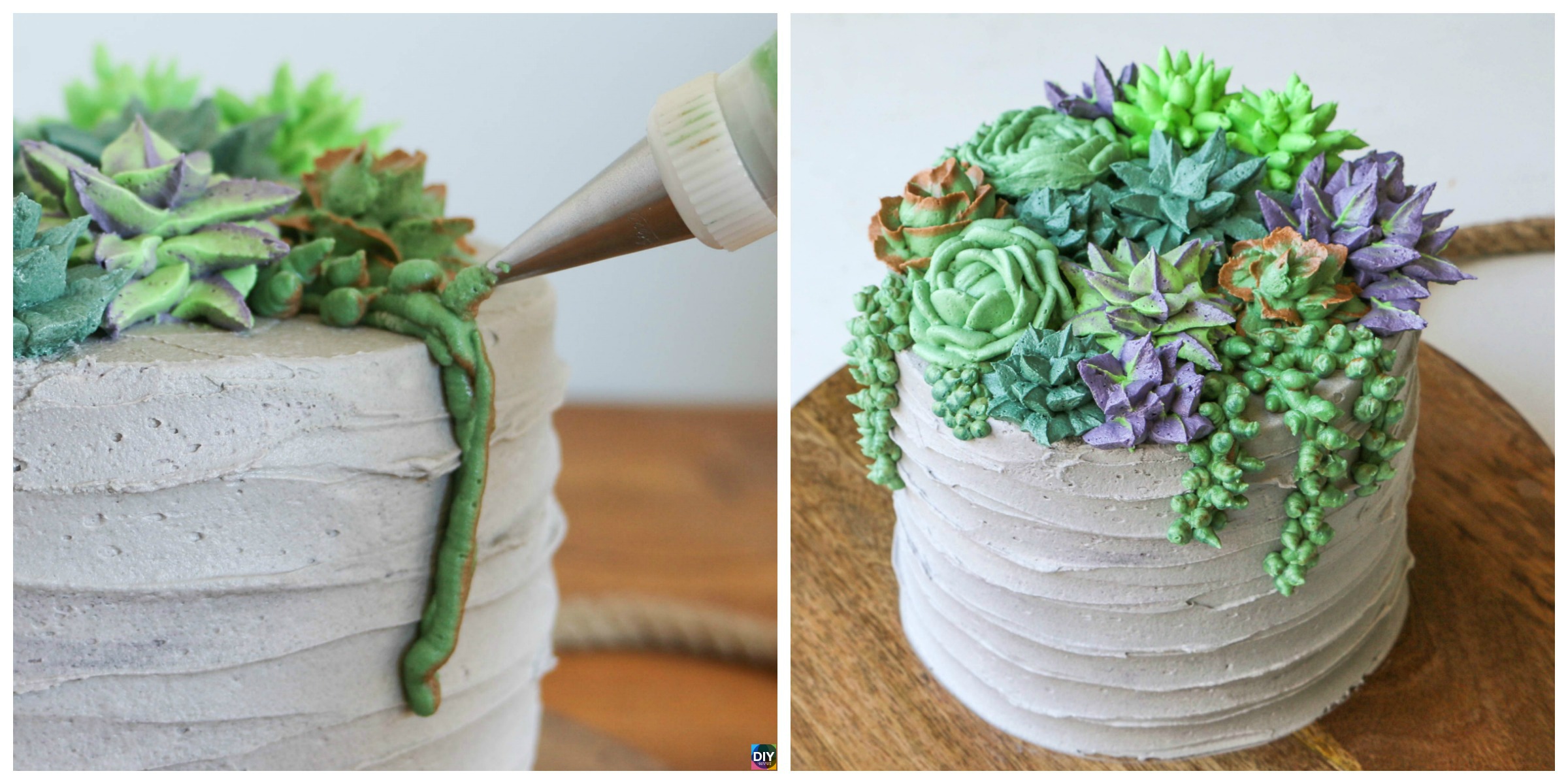 How to DIY Buttercream Succulent Cake – Step by Step