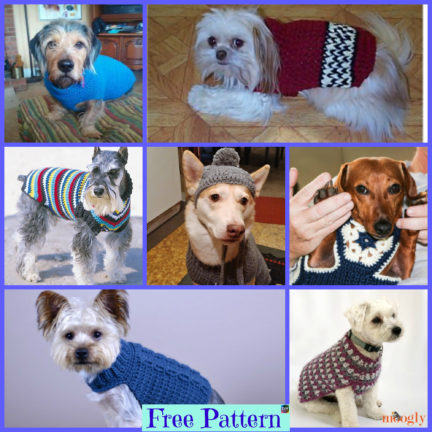 10 Cozy Crocheted Dog Sweater Free Patterns - DIY 4 EVER