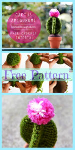 Crochet Cactus Amigurumi- Free Patterns - DIY 4 EVER