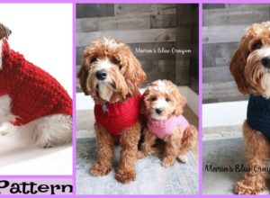 Crochet  Dog Cable Sweater – Free Patterns