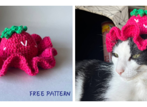 Strawberry Cat Hat Crochet Pattern FREE
