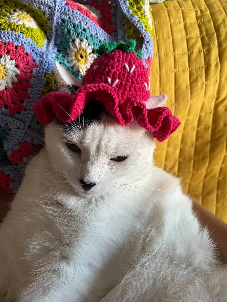FREE Strawberry Cat Hat Crochet Pattern 